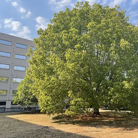 レジデンス ウノ トリノ